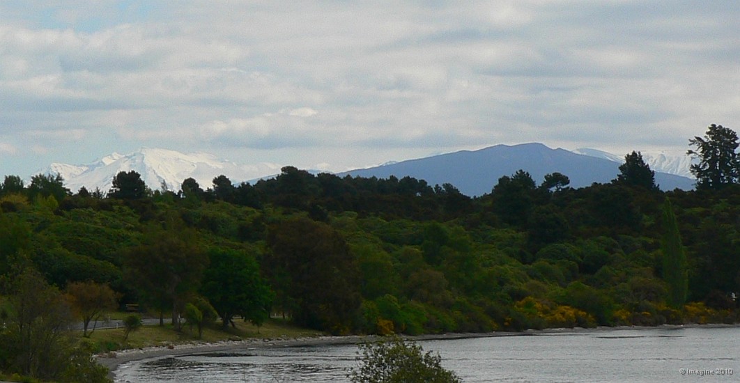 6.68- Le parc du Mont Tongariro a l'horizon.JPG